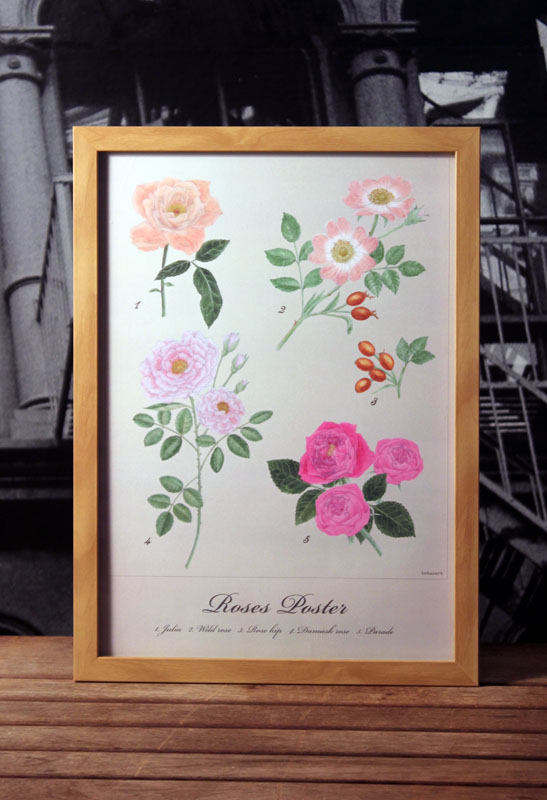 botanart バラのA3サイズポスター botanart バラのA3サイズポスター